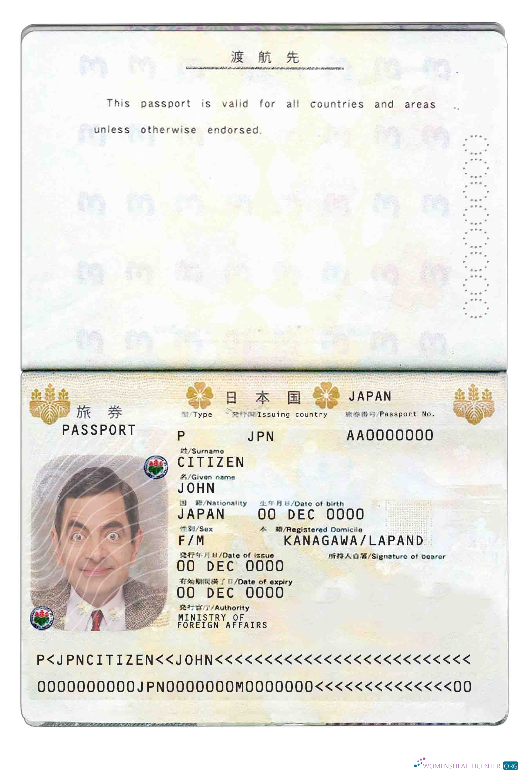 Angola LNG proof of address utility bill template in Word and PDF format